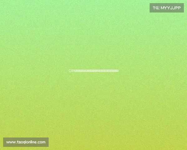 CBA赛事级别全方位解析中国男子篮球职业联赛竞技高度与发展前景