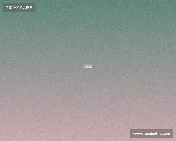 中国杯赛制 中国杯赛制